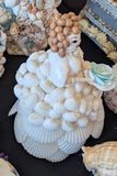 SHELL-ART-128  Anne's Shell Art - Shell Doll - Tall